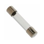Fuse 1.6 amp for Fresh Air/Eagle 5000/Classic Hepa