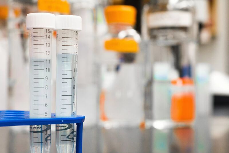 biology-blur-blurred-background-954585.jpeg biology-blur-blurred-background-954585.jpeg