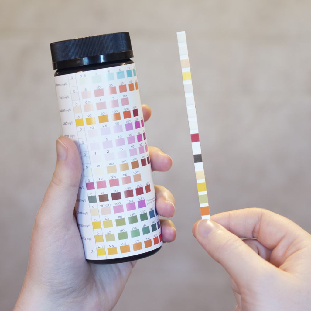 Water Quality Test Strip-2