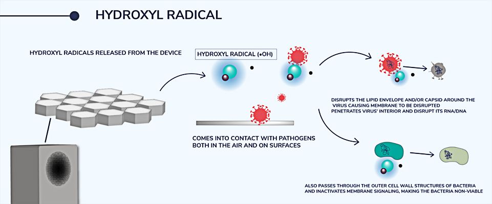 radiant-catalytic-ionis_2.jpg radiant-catalytic-ionis_2.jpg