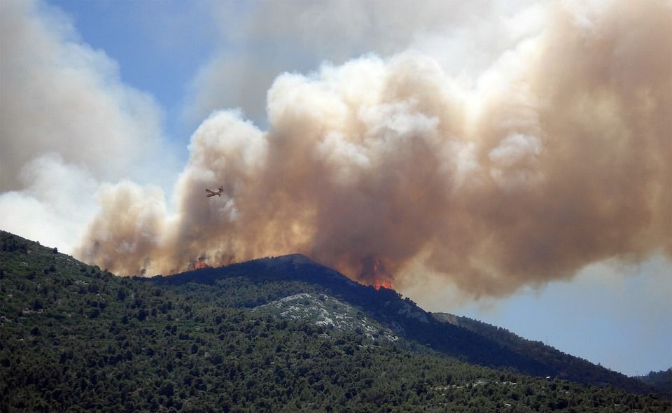 wildfire wildfire