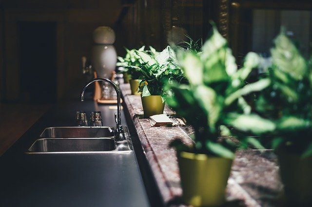 best air purifying plants for the home best air purifying plants for the home