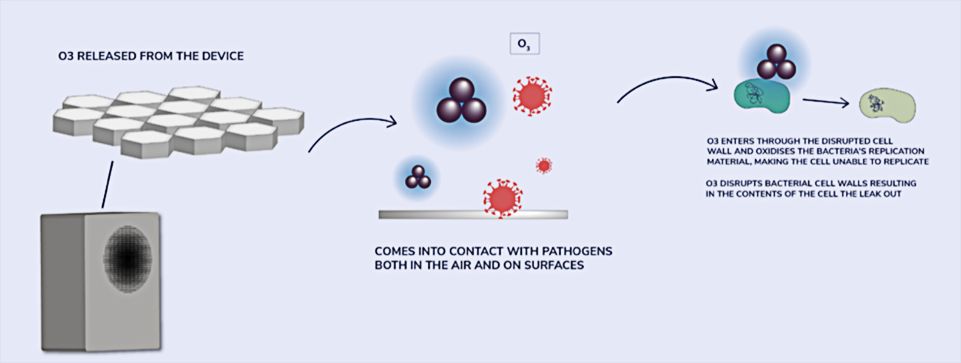 radiant-catalytic-ionis_5.jpg radiant-catalytic-ionis_5.jpg