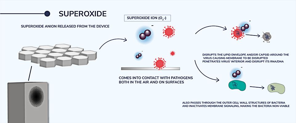 radiant-catalytic-ionis_3.jpg radiant-catalytic-ionis_3.jpg