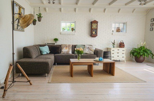 How to get rid of mold on your carpet permanently