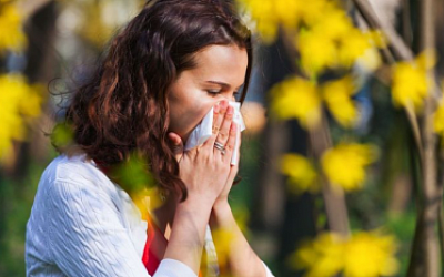 Here is why your allergy might have become worse in the last few years