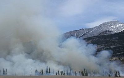 How to protect your family from wildfire smokes? 