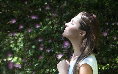 Everything you wanna know about clean air and HEPA filter with 2019 allergy season coming up
