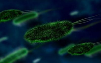 Can bacteria and viruses be removed from the air at my home?