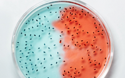 Spend or Save: What Really Does Kill Viruses?