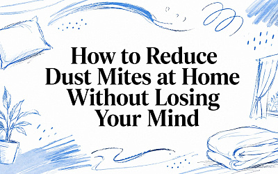How to Reduce Dust Mites at Home Without Losing Your Mind How to Reduce Dust Mites at Home Without Losing Your Mind