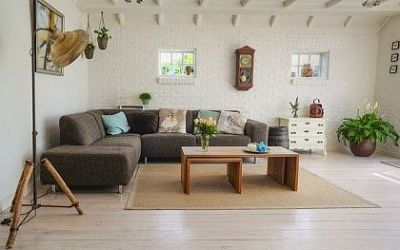 How to get rid of mold in your carpet permanently