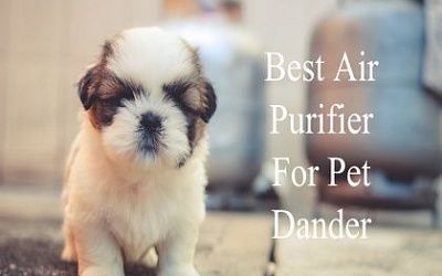 Air Purifiers for Pet Dander & Pollen Allergies