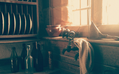 The Difference Between Mold and Mildew Explained
